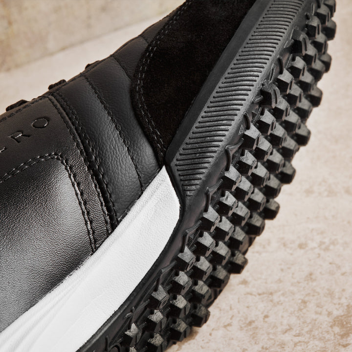 Black Dominio Turf